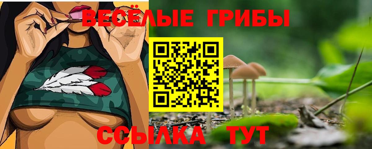 Галлюциногенные грибы мухоморы Тольятти